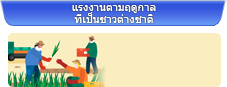 แรงงานตามฤดูกาลที่เป็นชาวต่างชาติ